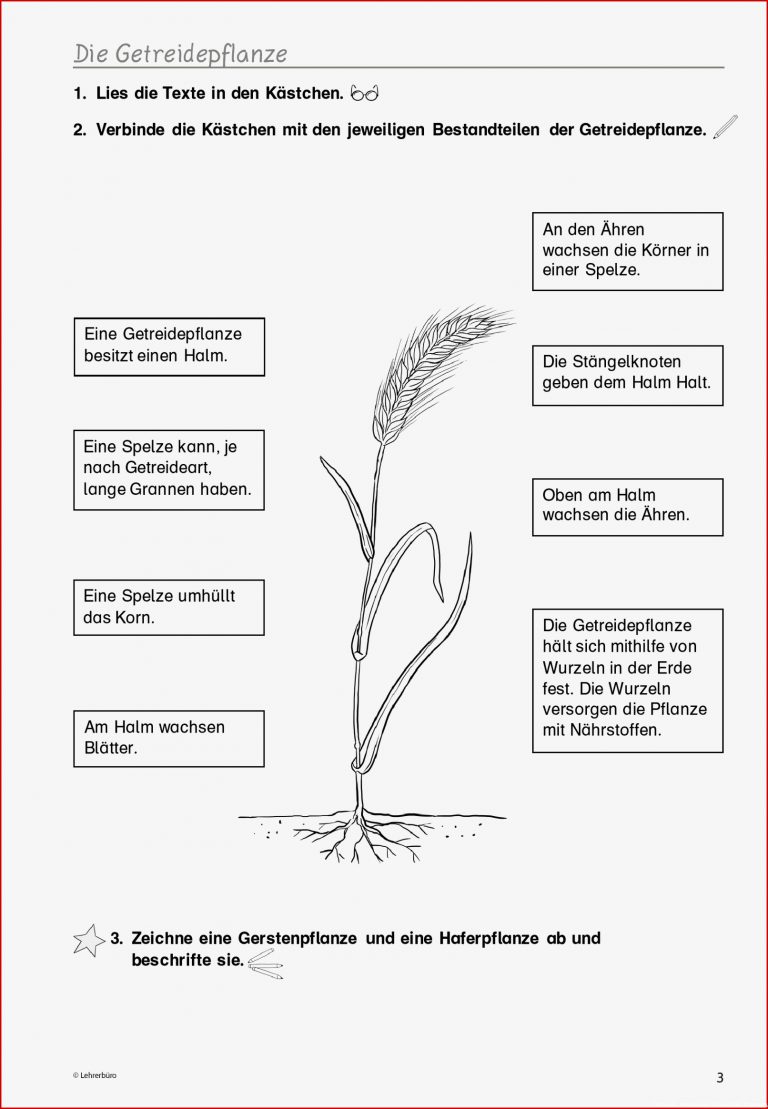 Häufigste Suchbegriffe