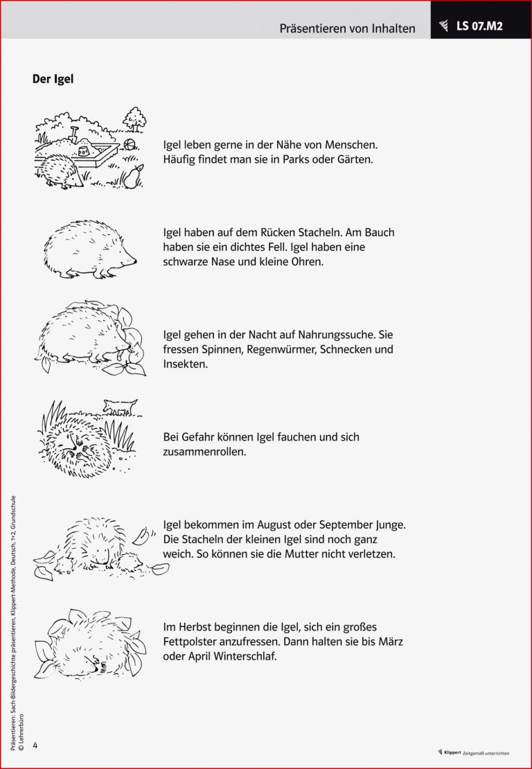 Häufigste Suchbegriffe zum Download Häufigste Suchbegriffe