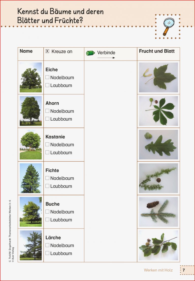 Hafen im alten phönizien Laubbaum Nadelbaum Sachunterricht