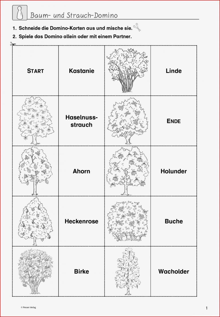 Hafen im alten phönizien Laubbaum Nadelbaum Sachunterricht