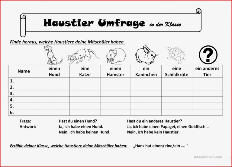 Haustiere Grundschule Klasse 1 Heimidee