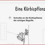 Hauswirtschaft Arbeitsblätter Kostenlos Worksheets