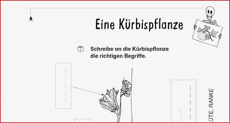 Hauswirtschaft Arbeitsblätter Kostenlos Worksheets