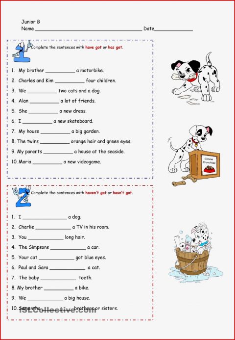 Have Got Worksheets Activities Pinterest