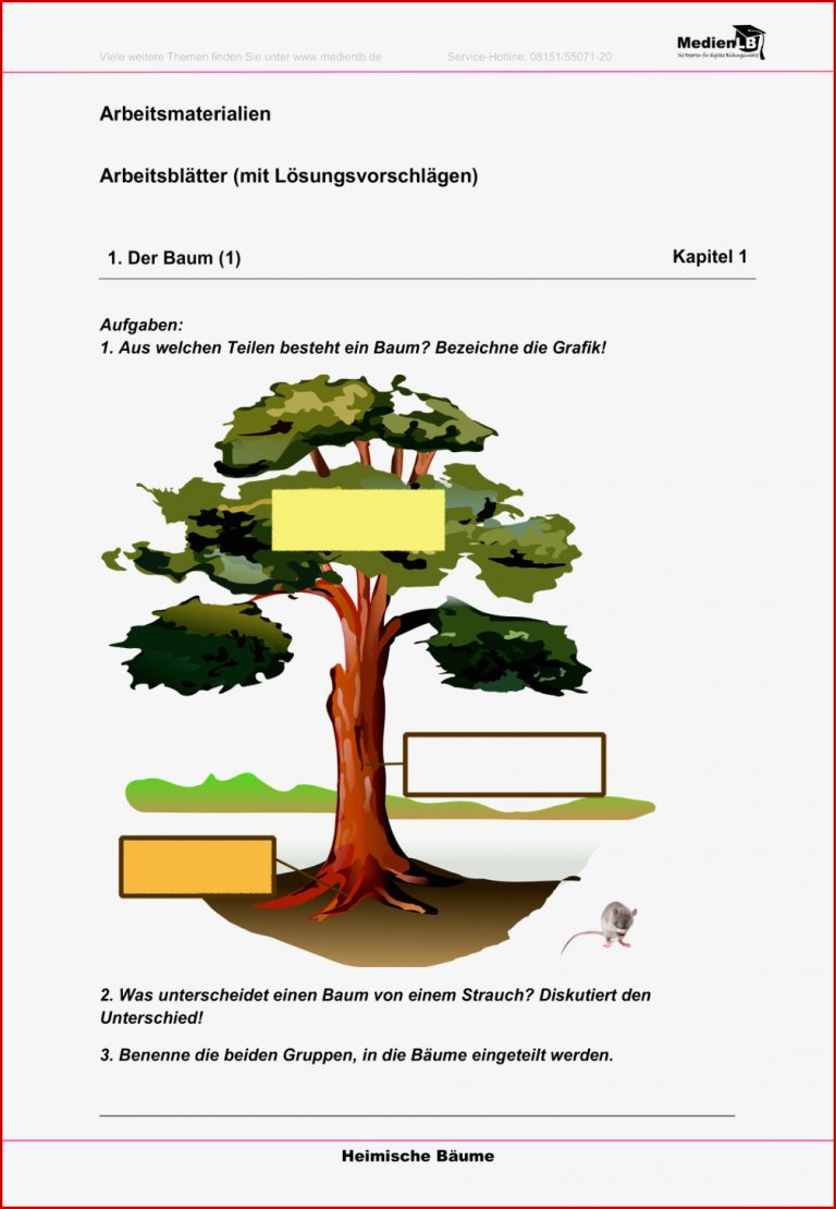 Heimische Bäume Arbeitsblätter mit Lösungen