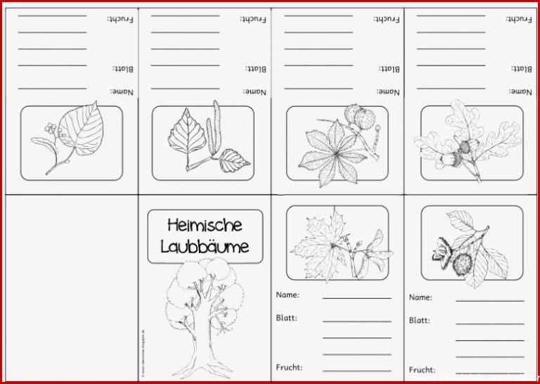 Heimische Laubbäume Minikartei und Faltheft Da es immer