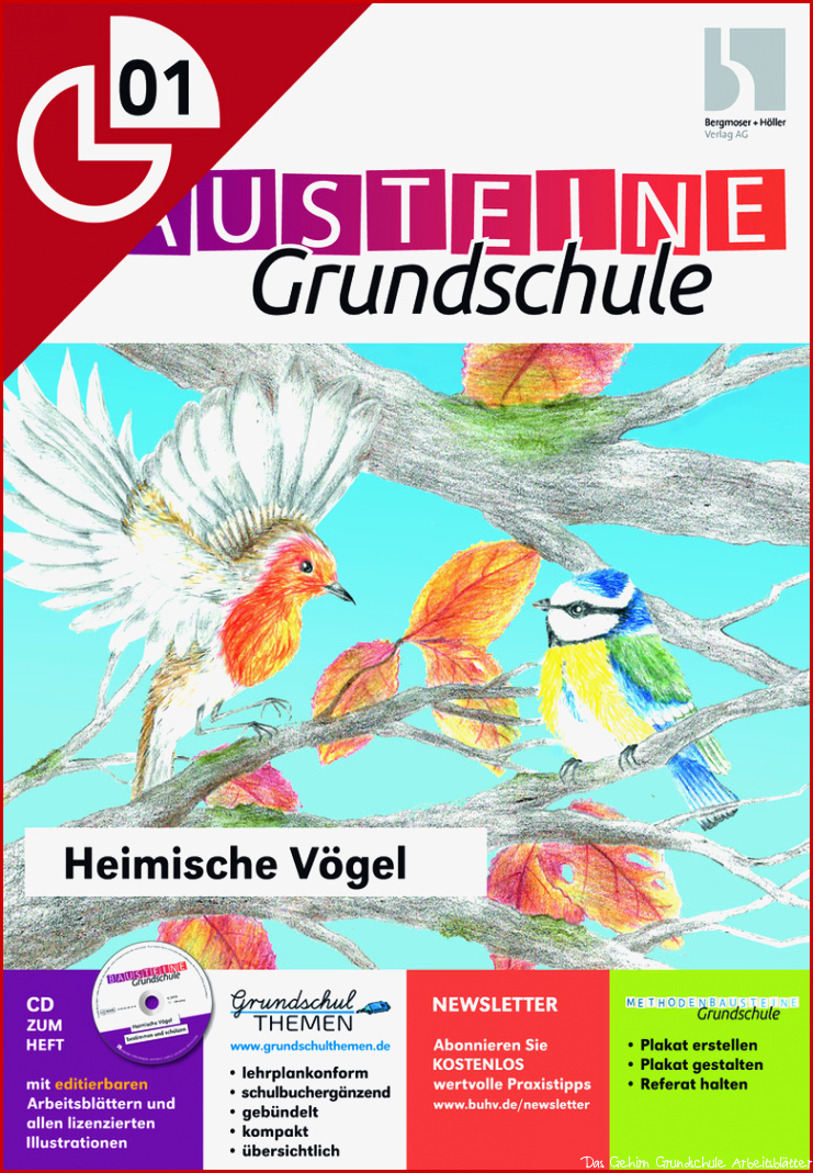 Heimische Vögel Bausteine Grundschule