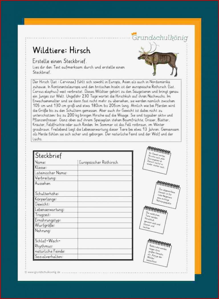 Heimische Wildtiere