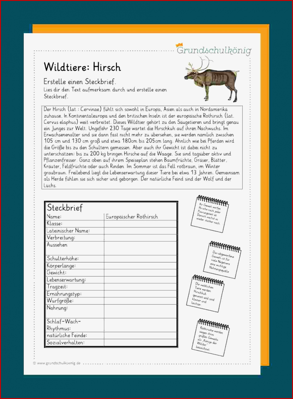 Heimische Wildtiere