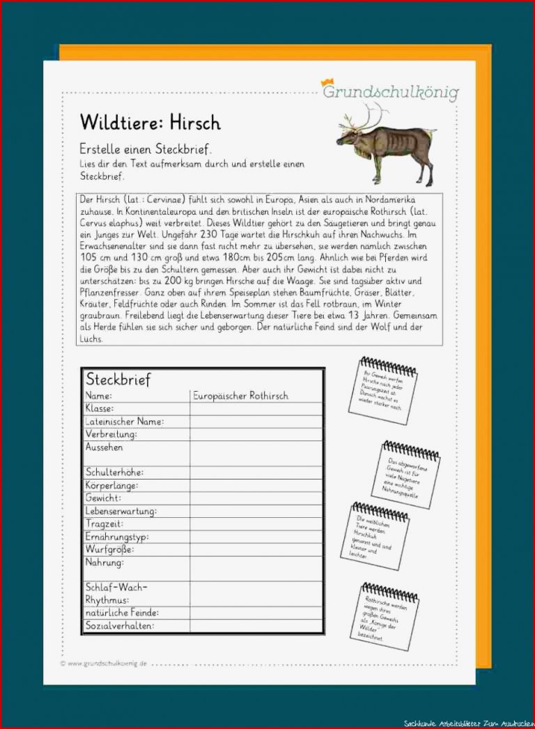 Heimische Wildtiere