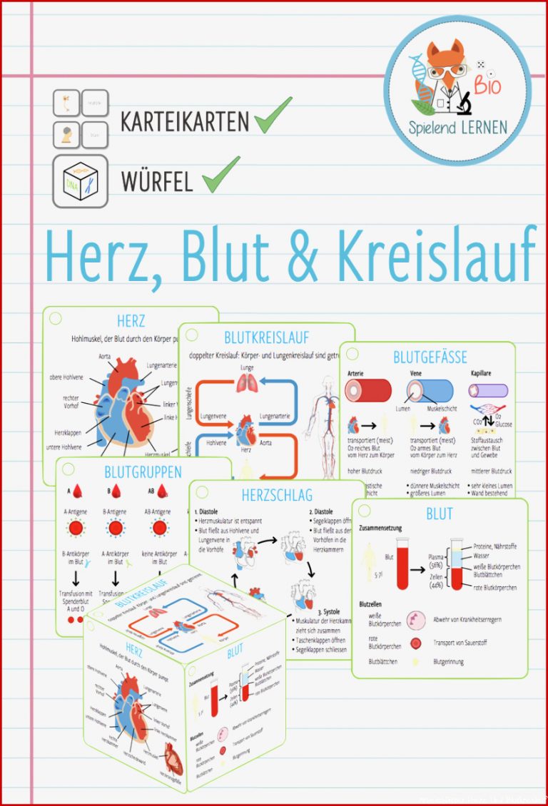 Herz Blut & Kreislauf – Karteikarten und Reflexionswürfel