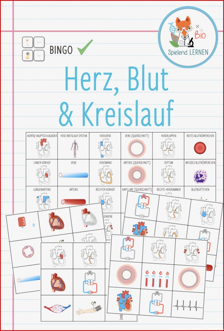 Herz Blut und Kreislauf Bingo – Unterrichtsmaterial im