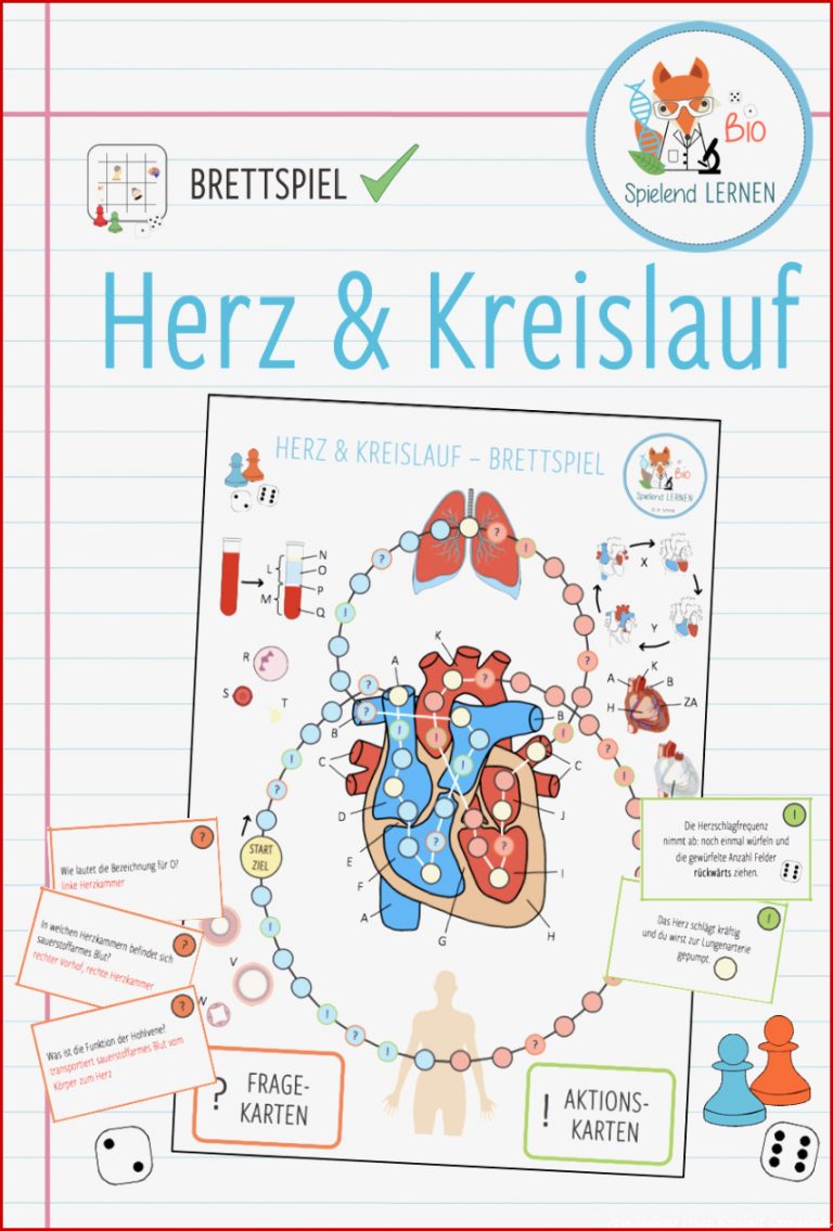 Herz Blut Und Kreislauf – Brettspiel