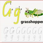 Heuschrecke G Buchstabe Nette Kindertieralphabet Im Vektor