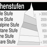 Höhenstufen Der Alpen