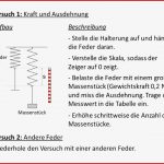 Hookesches Gesetz Phyplus Set Physik Experimentier Sets