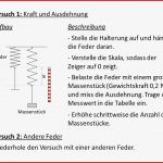 Hookesches Gesetz Phyplus Set Physik Experimentier Sets