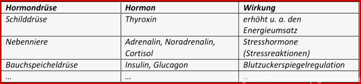 Hormone – Kommunikation mit Botenstoffen