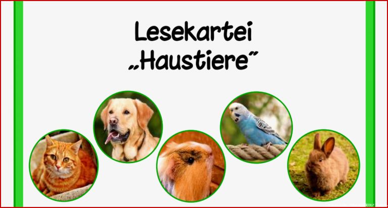 Hund Katze Tierbeschreibung Arbeitsblätter Pdf Stephen