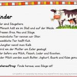 Ideenreise Sachkartei "nutztiere" Gastmaterial
