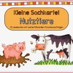 Ideenreise Sachkartei "nutztiere" Gastmaterial