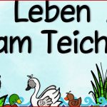 Ideenreise themenplakat "leben Am Teich"