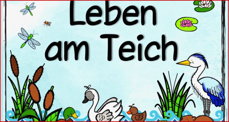 Ideenreise themenplakat "leben Am Teich"
