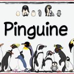 Ideenreise themenplakat "pinguine"