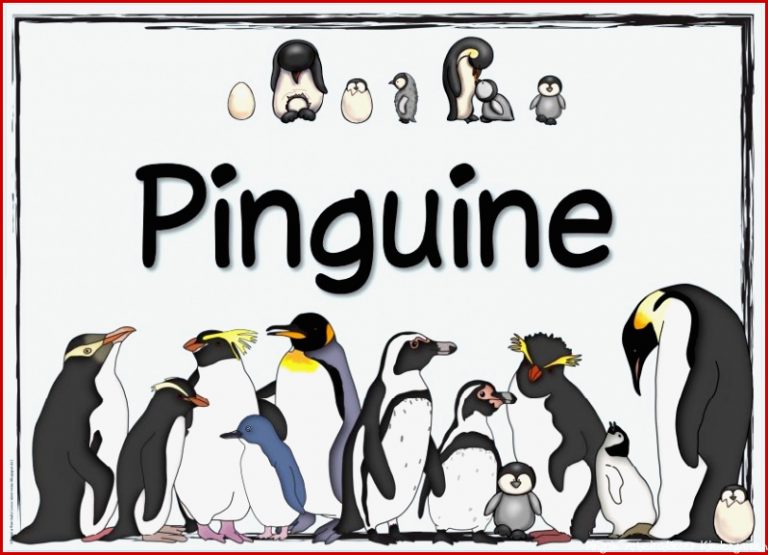Ideenreise themenplakat "pinguine"