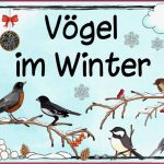 Ideenreise themenplakat "vögel Im Winter"