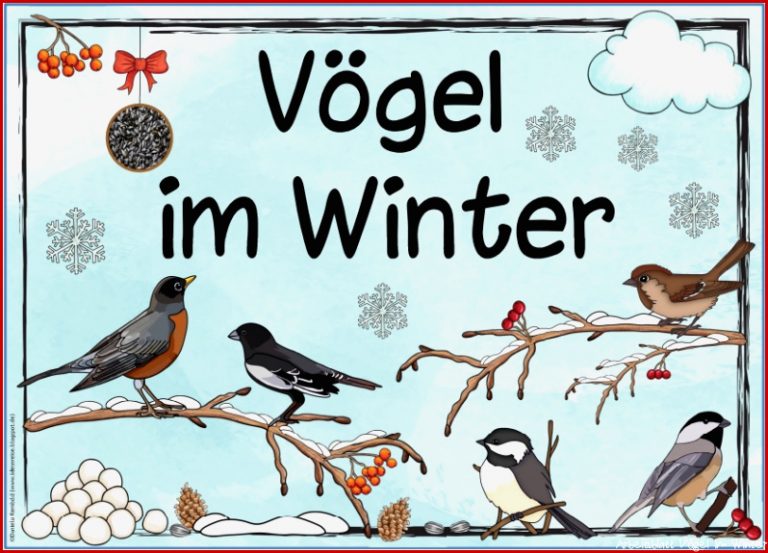 Ideenreise themenplakat "vögel Im Winter"