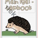 Igel