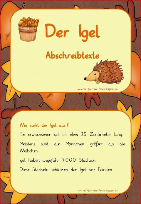 Igel Abschreibtexte In Grundschrift