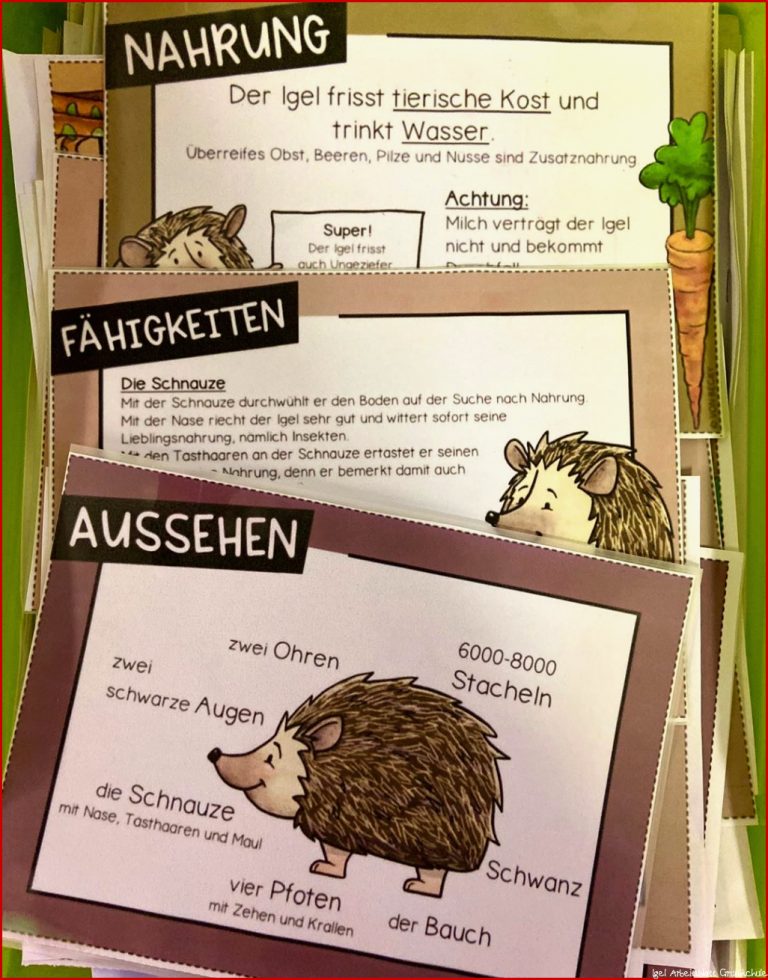 Igel Körperteile Arbeitsblatt Carl Winslow Grundschule