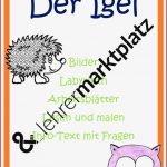 Igel Materialsammlung – Unterrichtsmaterial In Den Fächern