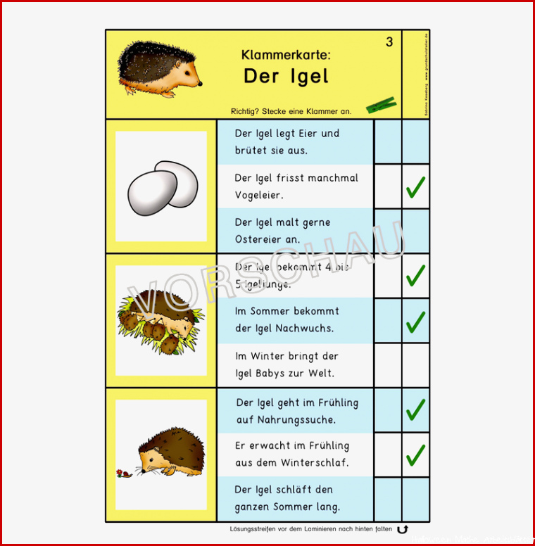 Igel Werkstatt für Grundschule