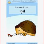 Igel Werkstatt Für Grundschule