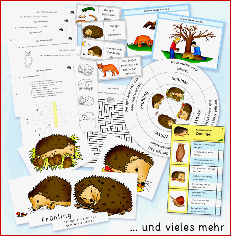 Igel Werkstatt für Grundschule