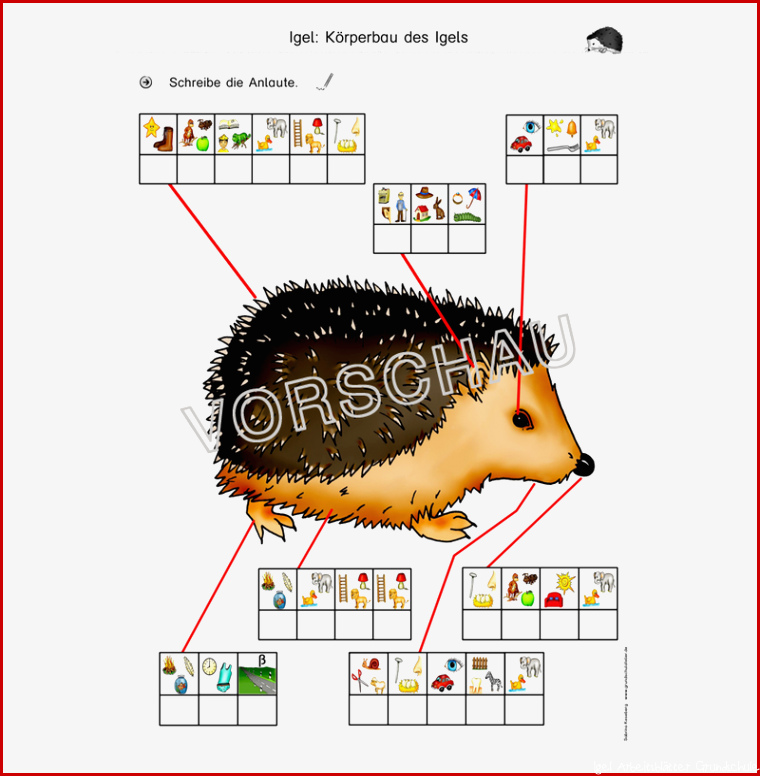 Igel Werkstatt für Grundschule