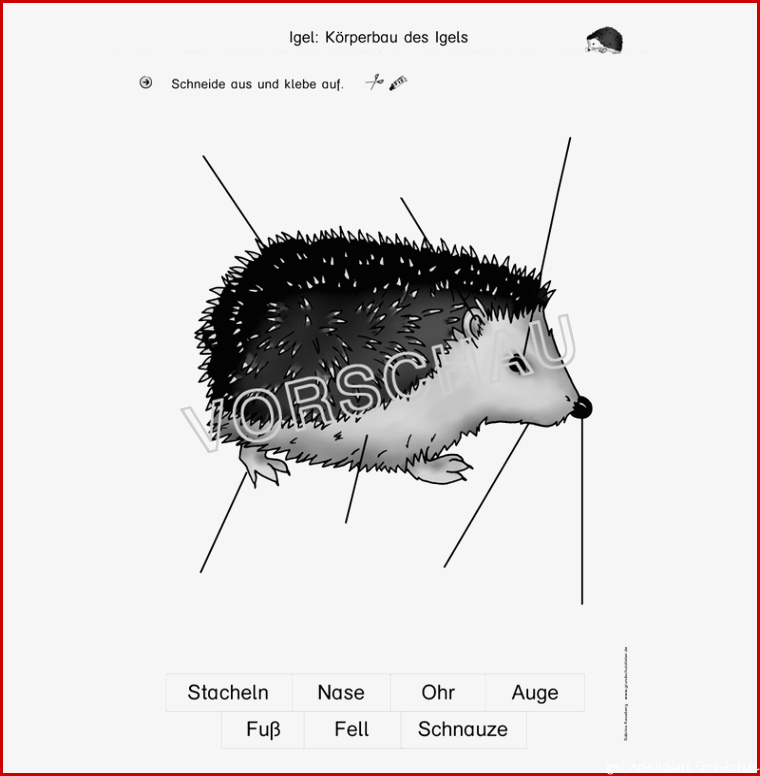 Igel Werkstatt für Grundschule