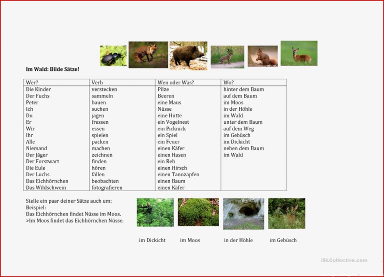 Im Wald Bilde Sätze Arbeitsblatt Kostenlose Daf