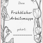 In Ser Arbeitsmappe Können Kinder Mit Ihrem Wissen