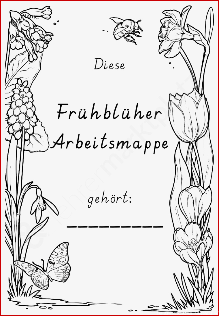 In ser Arbeitsmappe können Kinder mit ihrem Wissen