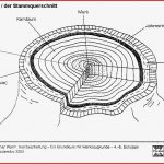 Index Of Natur Baum Baumentwicklung Allgemein D