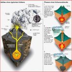 Infografik Aufbau Eines Vulkans Welt