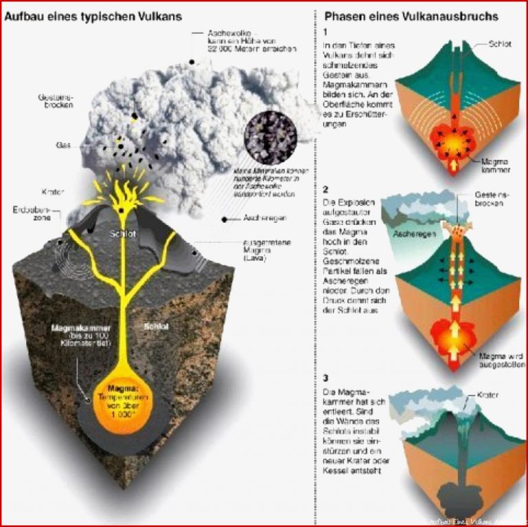 Infografik Aufbau Eines Vulkans Welt