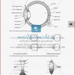 Infomaterial über Das Menschliche Auge Und Fehlsichtigkeit