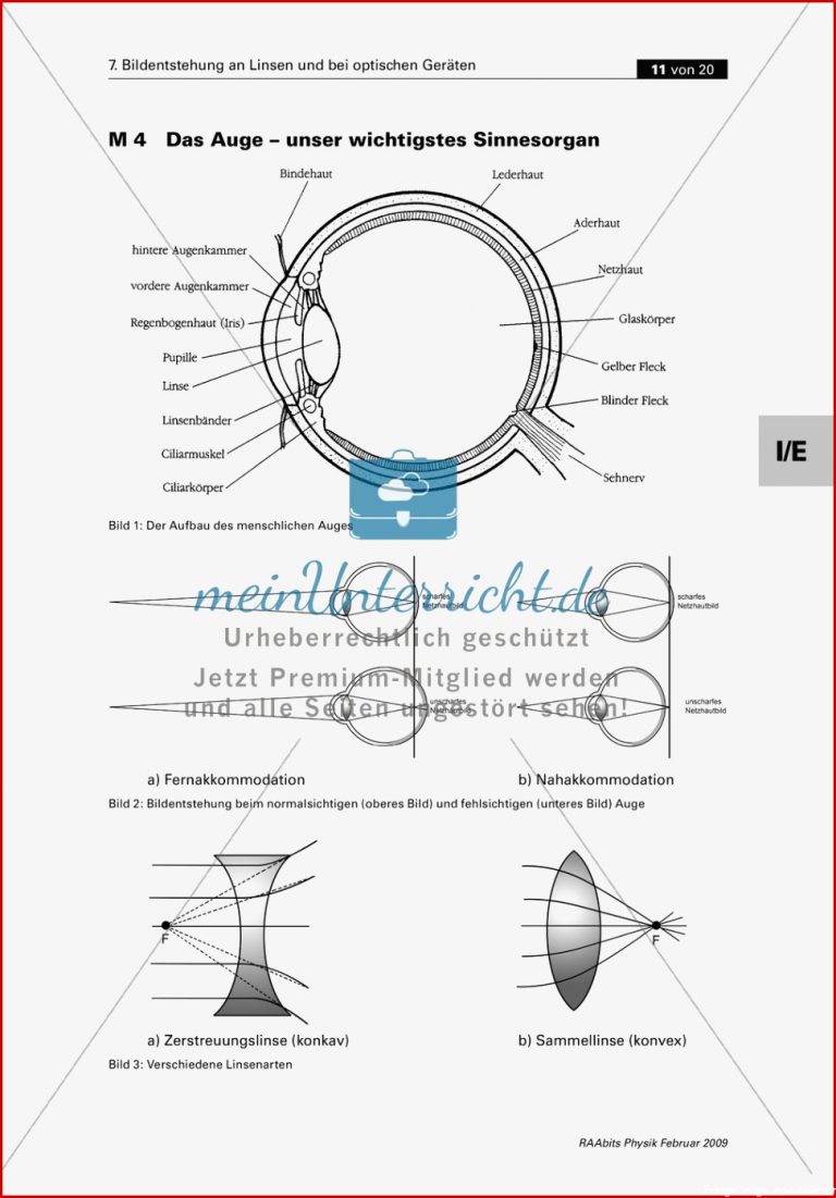 Infomaterial über das menschliche Auge und Fehlsichtigkeit