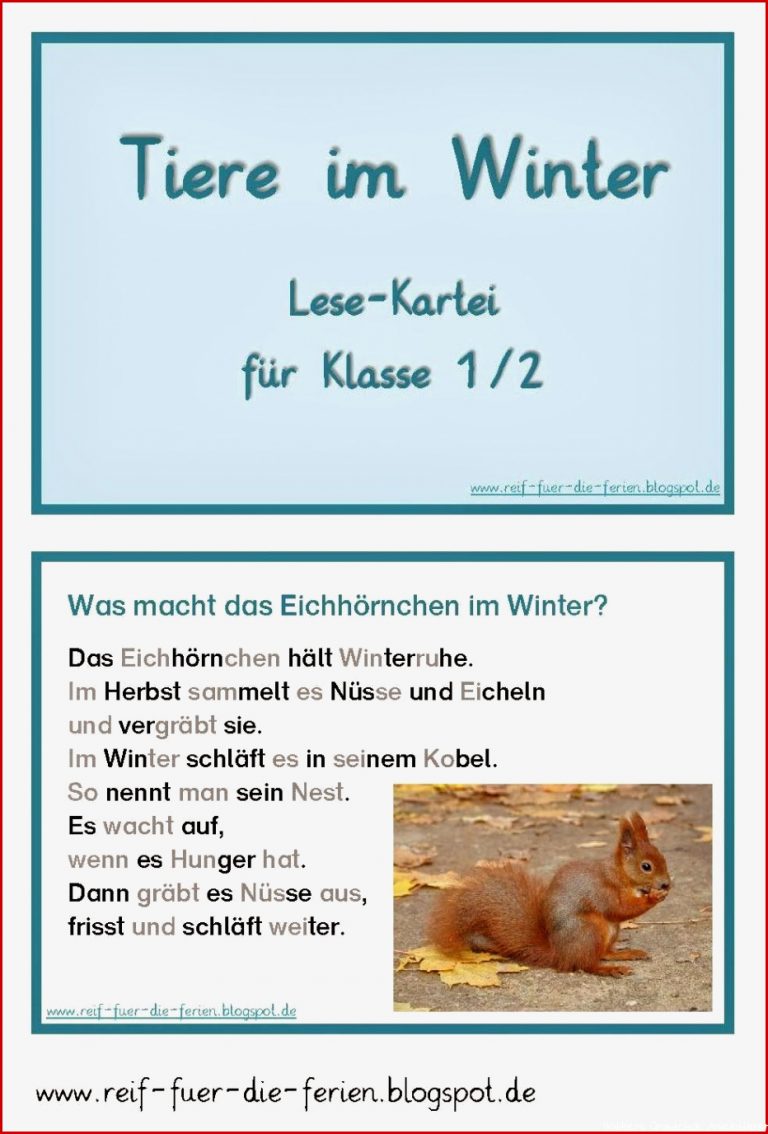 Infotexte Waldtiere Grundschule April Rarter Schule