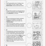 Interview Grundschule Arbeitsblätter Worksheets